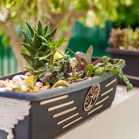 Apartmán Cactus Maspalomas  Exteriér fotografie
